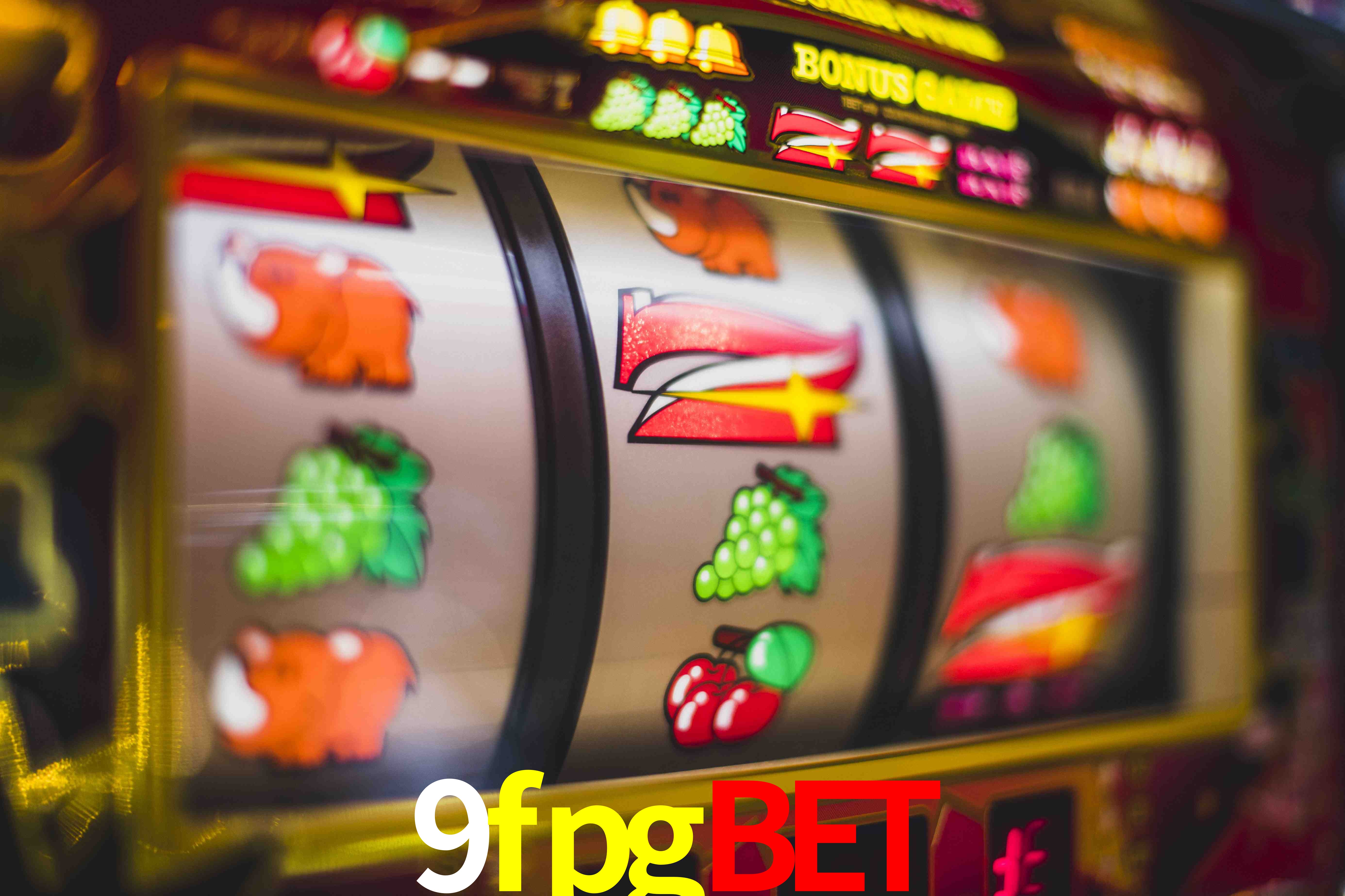 Tennis Betting 9fpgbet